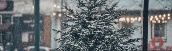 Небольшой снег пройдет в разных районах Приморья на выходных