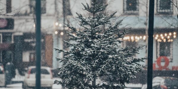 Небольшой снег пройдет в разных районах Приморья на выходных