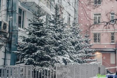 В середине марта Владивосток оделся в снежный наряд