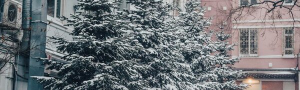 В середине марта Владивосток оделся в снежный наряд