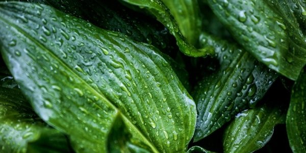 Погода в Приморье в выходные дни будет капризной