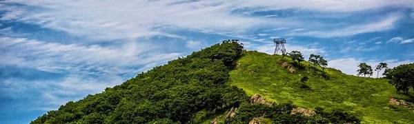 С 1 февраля каждый гражданин России может получить «дальневосточный гектар»