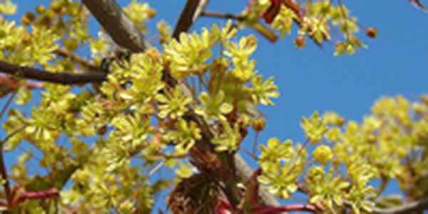 В прошедшие выходные погода в Приморье была по-настоящему осенней