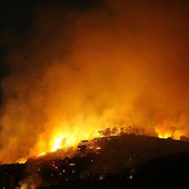 Лесные пожары в Калифорнии угрожают спалить 10 тысяч жилых домов (ФОТО)