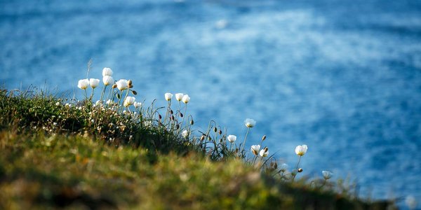 В пятницу в Приморье потеплеет до +29 °C, на побережье прохладнее