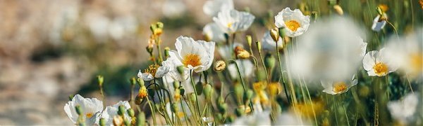 Сегодня в Приморье воздух прогреется до +32 °С