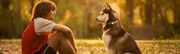 Собаки имеют талант психолога