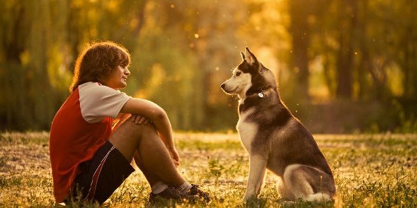 Собаки имеют талант психолога