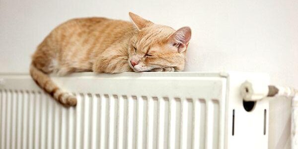 98 % объектов жилого фонда во Владивостоке подключено к отоплению