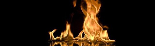 Внимание! Сразу в нескольких районах Приморья сохраняется высокая пожароопасность леса