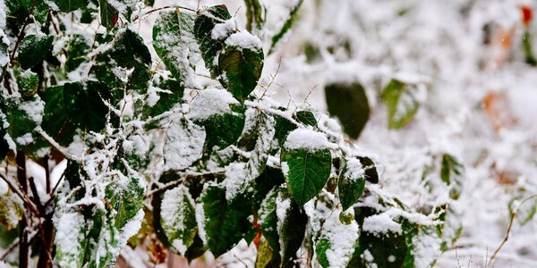 Синоптики уточнили прогноз погоды на выходные дни в Приморье и Владивостоке