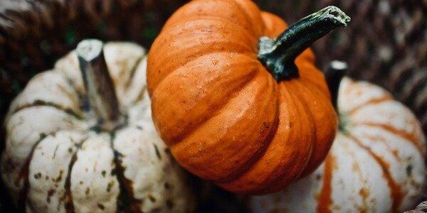 Продуктовая ярмарка будет работать в выходные дни на центральной площади Владивостока