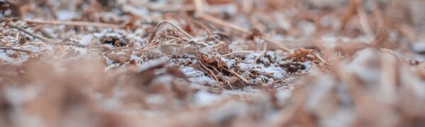 Небольшие осадки на этой неделе возможны лишь местами на севере Приморья