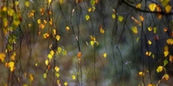 В Приморье пришла холодная погода