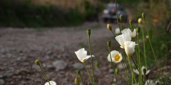 Ливни и грозы вновь накроют Приморье