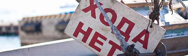 Агрессивная кошка три часа не пускала хозяев домой