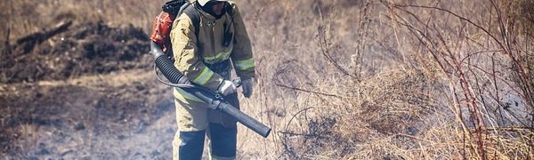 Почти 130 гектаров леса потушили в Приморье