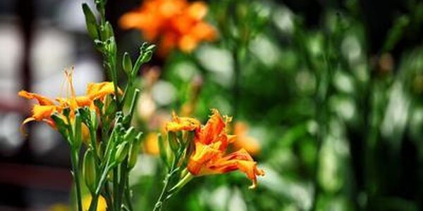 23 июля во Владивостоке был установлен новый рекорд тепла