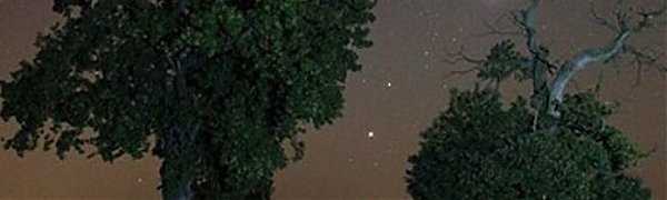 В утреннем небе 5 планет демонстрируют редкий парад