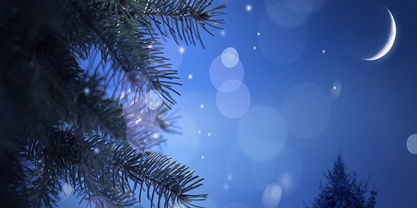 Победители конкурса «Угадай погоду в новогоднюю ночь во Владивостоке!» получили заслуженные призы