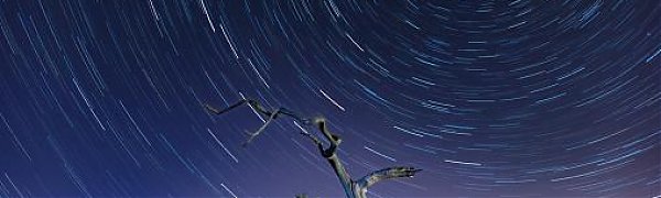 В августе летнее ночное небо украсит метеорный поток Персеиды