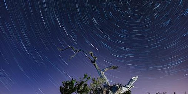 В августе летнее ночное небо украсит метеорный поток Персеиды