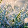 Небольшой мороз -1...-2°С отмечается в горных районах Приморья вторую ночь подряд