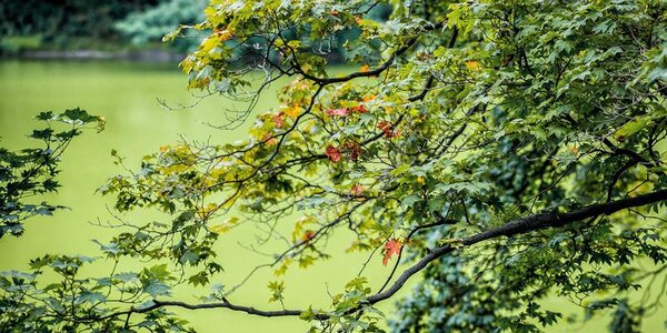 На этой неделе погода в Приморском крае будет меняться ежедневно