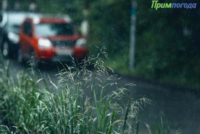 Небольшие и умеренные дожди ожидаются в Приморье в четверг