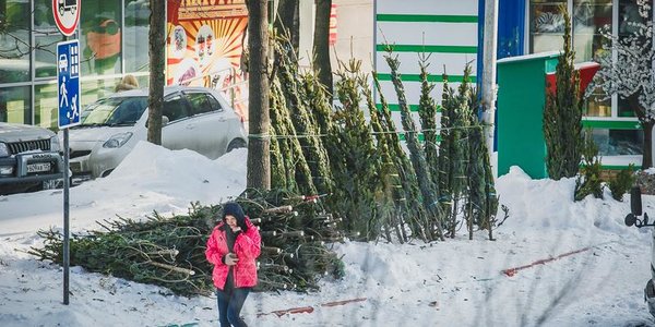 Сибирский антициклон удерживает холода в Приморье