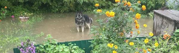 ЧС регионального масштаба введена в Надежденском районе