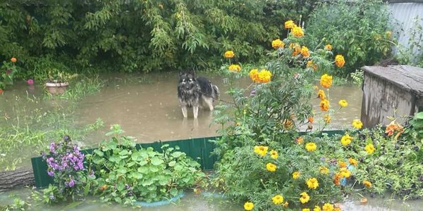 ЧС регионального масштаба введена в Надежденском районе
