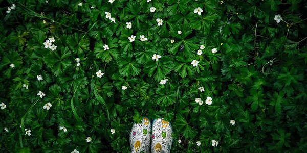 Синоптики рассказали о погоде в Приморье и Владивостоке на этой неделе