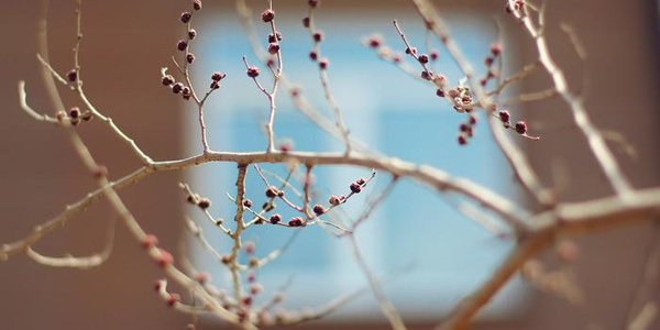 Во Владивостоке с сегодняшнего дня начнёт устанавливаться весенняя погода