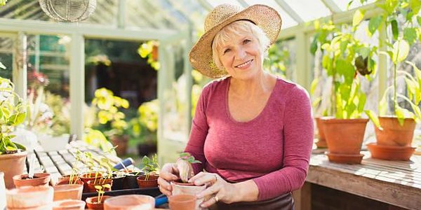 Дачники Владивостока смогут получить по 30 тысяч рублей