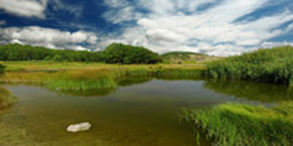 Сегодня и завтра в Приморье будет по-осеннему прохладно