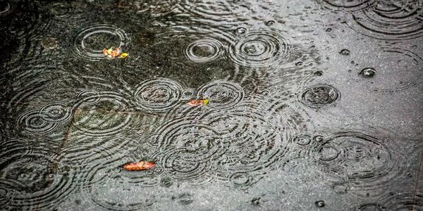 В пятницу к вечеру в Приморье начнутся дожди