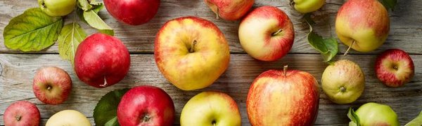 Названы лучшие продукты для печени