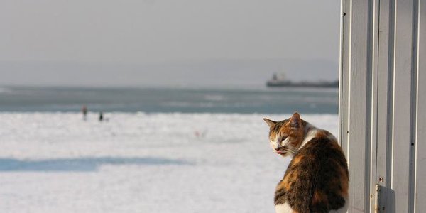 Очаг холода покинет Приморье к выходным