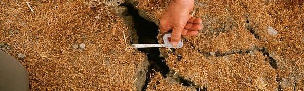 Учёные спрогнозировали серию мощных землетрясений в 2018 году