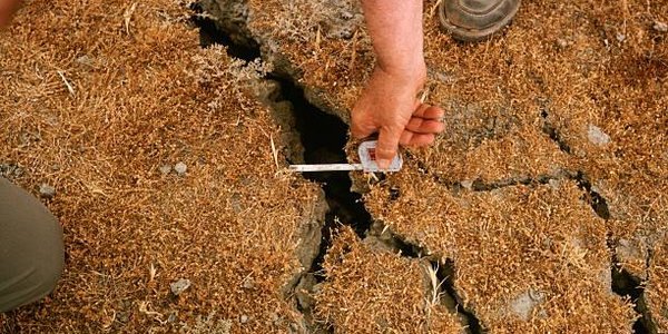 Учёные спрогнозировали серию мощных землетрясений в 2018 году