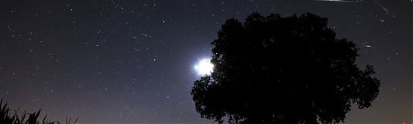 Августовское небо будет расчерчено звездными дождями