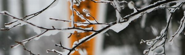 Аномальную зиму предрекли россиянам синоптики