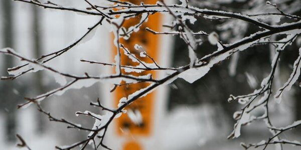 Аномальную зиму предрекли россиянам синоптики