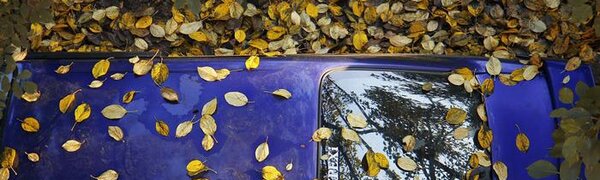 Солнце, дождь, сильный ветер и смерч: чем запомнились первые выходные октября в Приморье