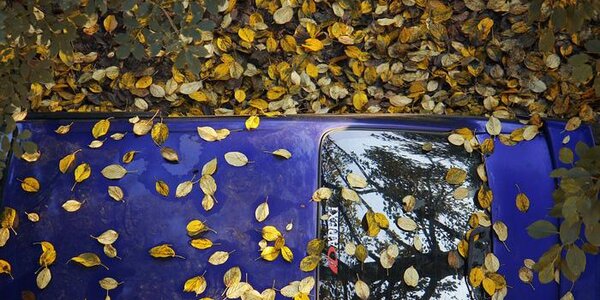 Солнце, дождь, сильный ветер и смерч: чем запомнились первые выходные октября в Приморье