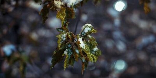 В выходные дни циклон принесёт осадки в Приморье
