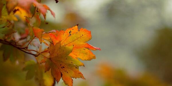 Приморье постепенно уходит в «минус». Прогноз погоды на рабочую неделю на Примпогоде