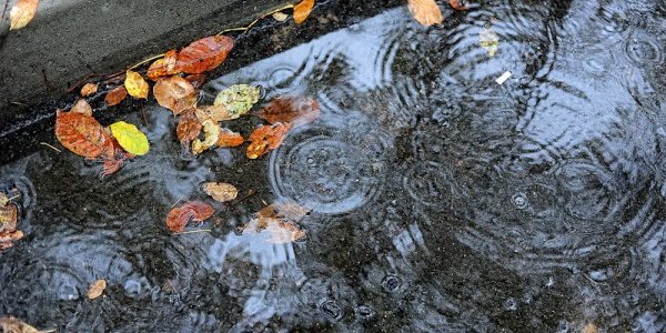 Ближайшей ночью на Приморье вновь прольются сильные дожди