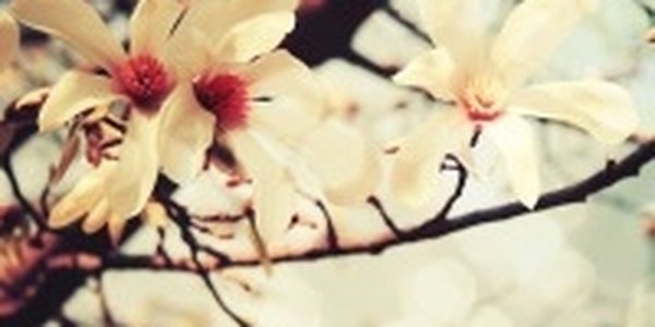 Во Владивосток придет долгожданное тепло